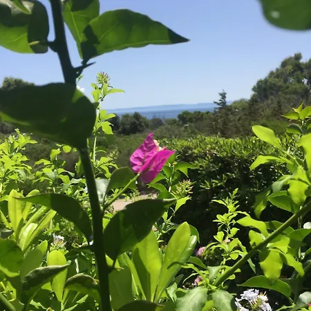 Casa Ele Vista Mare